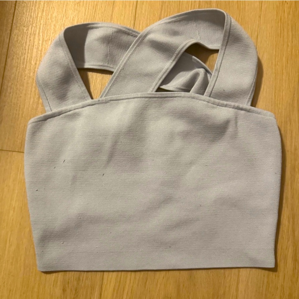 Aritzia Babaton Crop Top